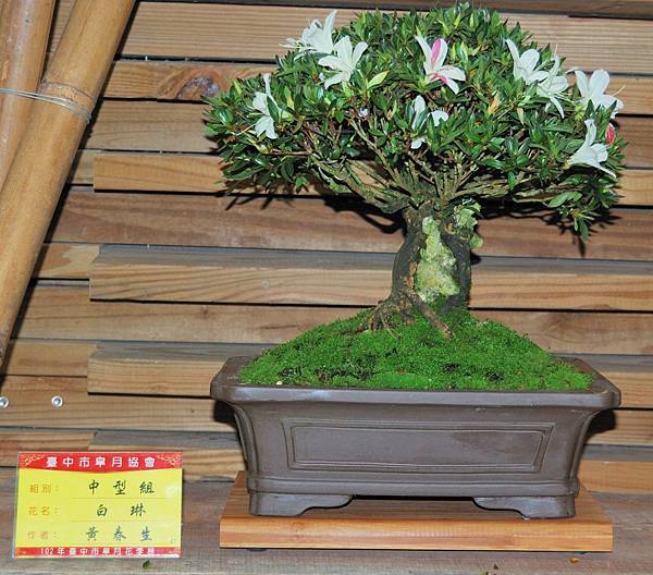 DSC_8210.jpg DSC_8210.jpg