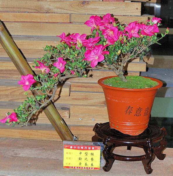 DSC_8209.jpg DSC_8209.jpg