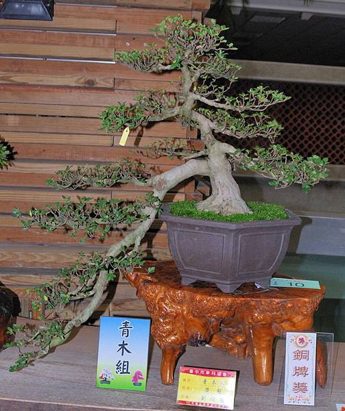 DSC_8212.jpg DSC_8212.jpg