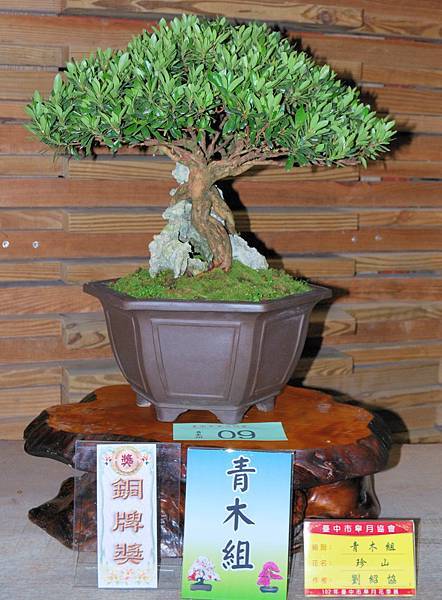 DSC_8213.jpg DSC_8213.jpg