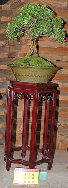 DSC_8214.jpg DSC_8214.jpg