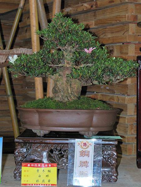 DSC_8215.jpg DSC_8215.jpg