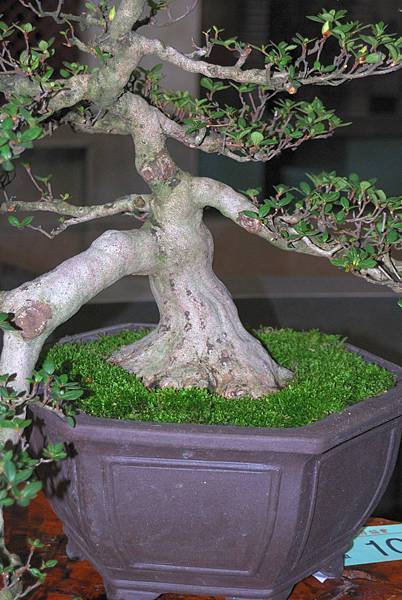 DSC_8221.jpg DSC_8221.jpg