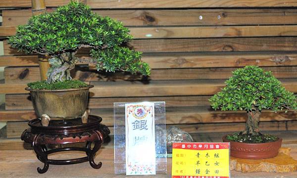 DSC_8223.jpg DSC_8223.jpg