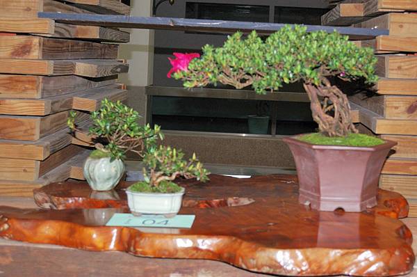 DSC_8225.jpg DSC_8225.jpg