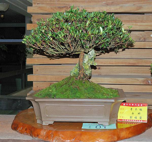 DSC_8228.jpg DSC_8228.jpg