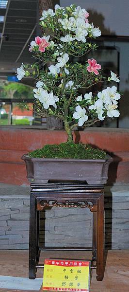 DSC_8229.jpg DSC_8229.jpg