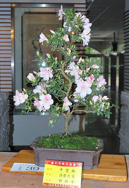 DSC_8231.jpg DSC_8231.jpg