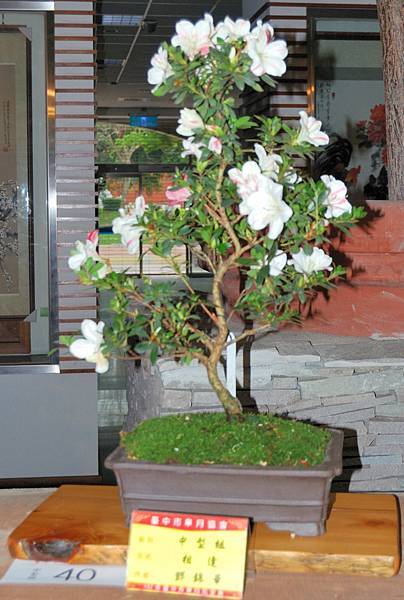 DSC_8230.jpg DSC_8230.jpg