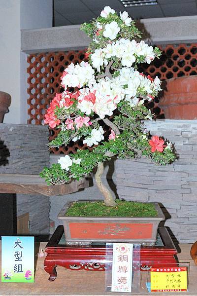 DSC_8238.jpg DSC_8238.jpg