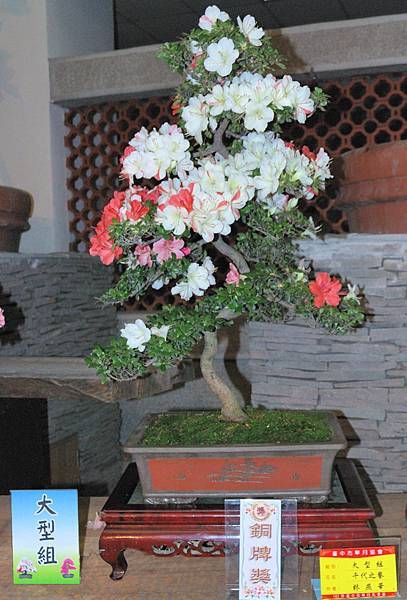 DSC_8237.jpg DSC_8237.jpg