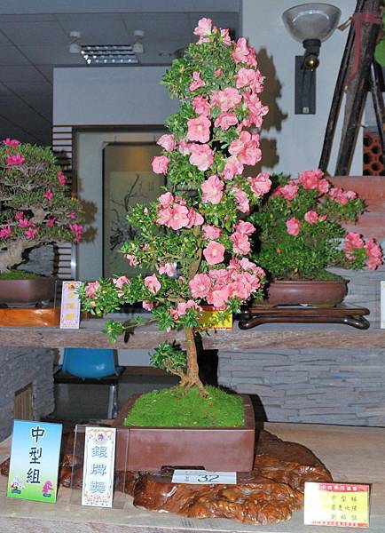 DSC_8241.jpg DSC_8241.jpg