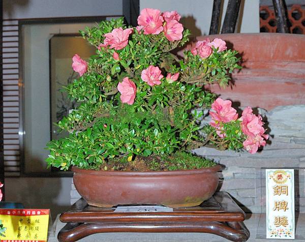 DSC_8242.jpg DSC_8242.jpg