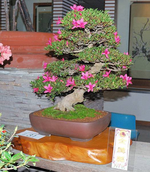 DSC_8243.jpg DSC_8243.jpg