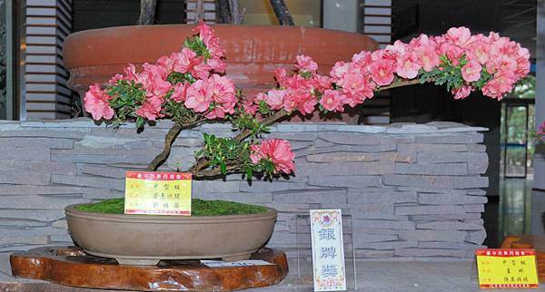 DSC_8244.jpg DSC_8244.jpg