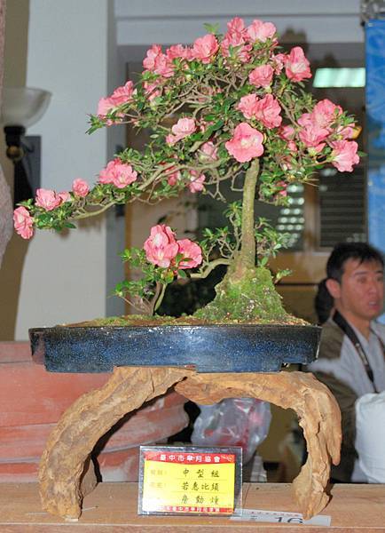 DSC_8248.jpg DSC_8248.jpg