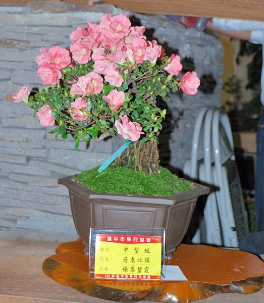 DSC_8249.jpg DSC_8249.jpg