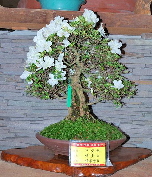 DSC_8250.jpg DSC_8250.jpg