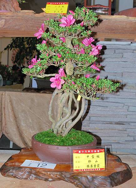 DSC_8251.jpg DSC_8251.jpg