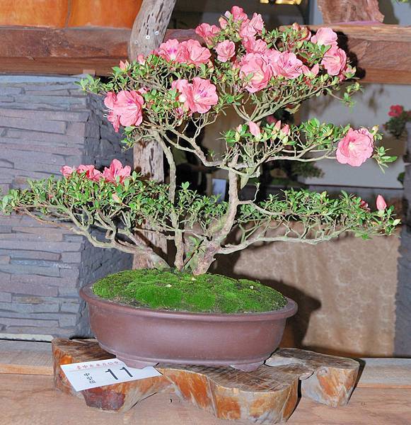 DSC_8252.jpg DSC_8252.jpg