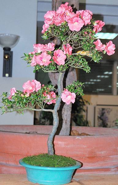 DSC_8253.jpg DSC_8253.jpg