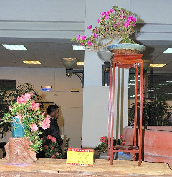 DSC_8254.jpg DSC_8254.jpg