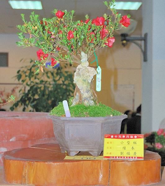 DSC_8255.jpg DSC_8255.jpg