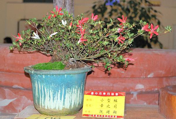 DSC_8256.jpg DSC_8256.jpg