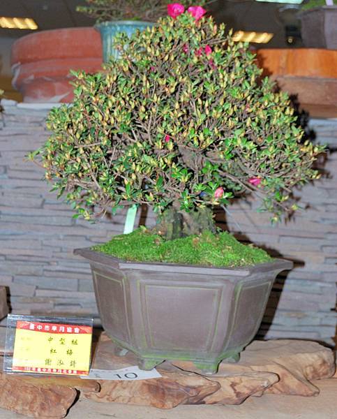 DSC_8257.jpg DSC_8257.jpg