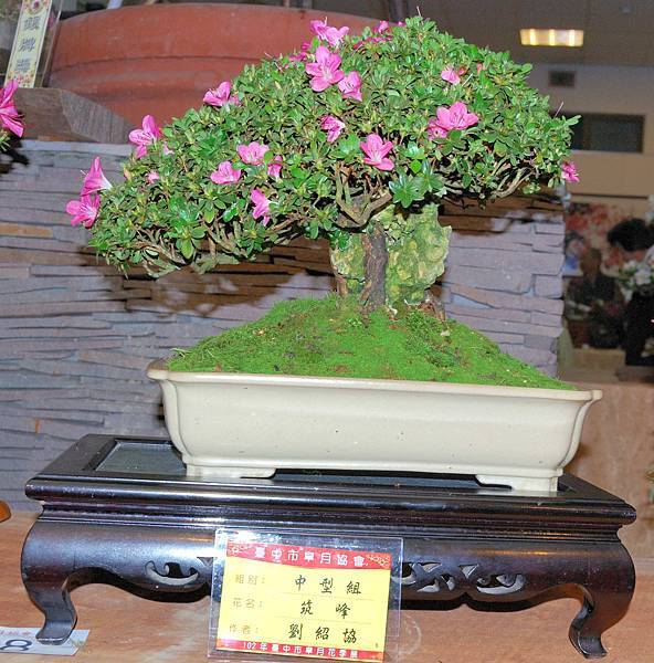 DSC_8260.jpg DSC_8260.jpg