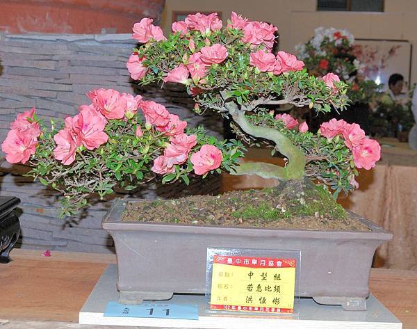 DSC_8259.jpg DSC_8259.jpg