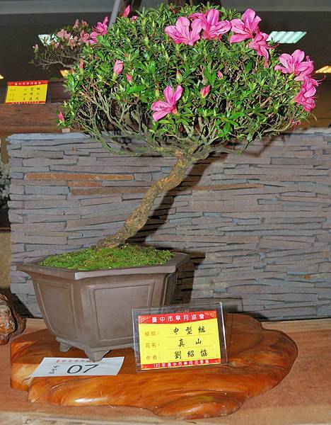 DSC_8261.jpg DSC_8261.jpg