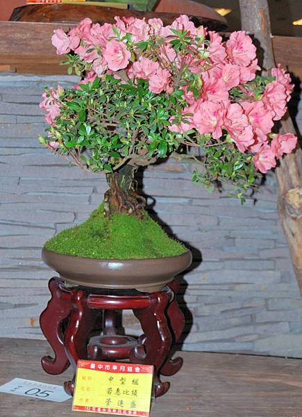 DSC_8264.jpg DSC_8264.jpg