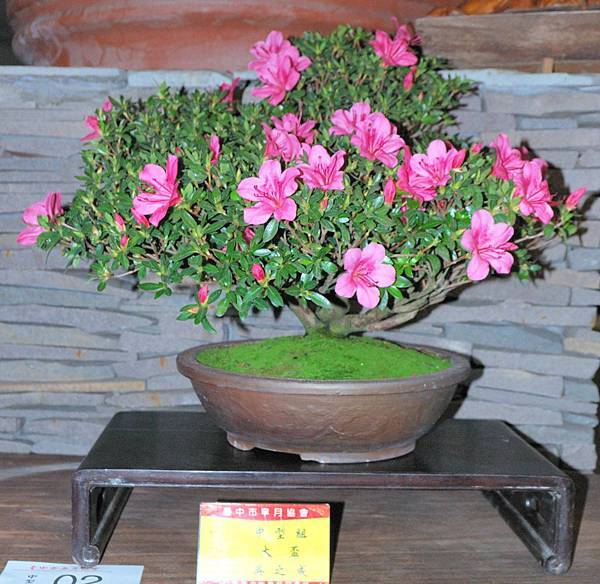 DSC_8267.jpg DSC_8267.jpg