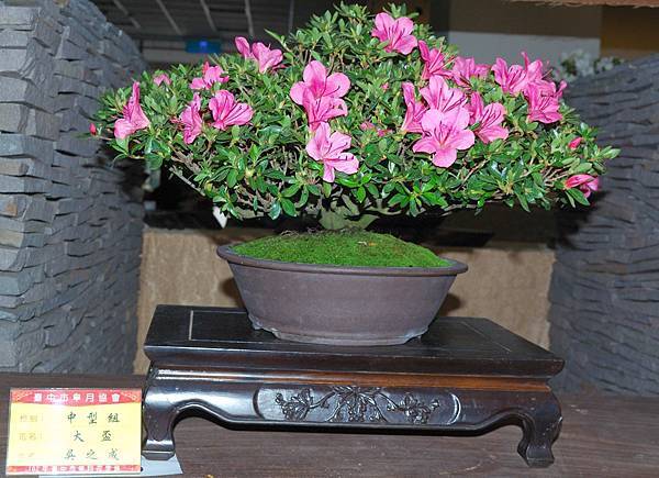 DSC_8266.jpg DSC_8266.jpg