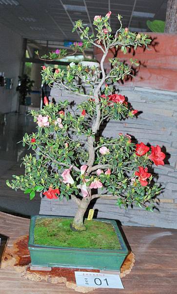 DSC_8268.jpg DSC_8268.jpg