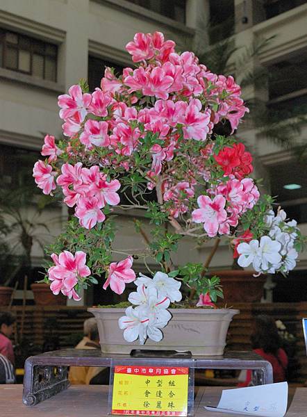 DSC_8270.jpg DSC_8270.jpg