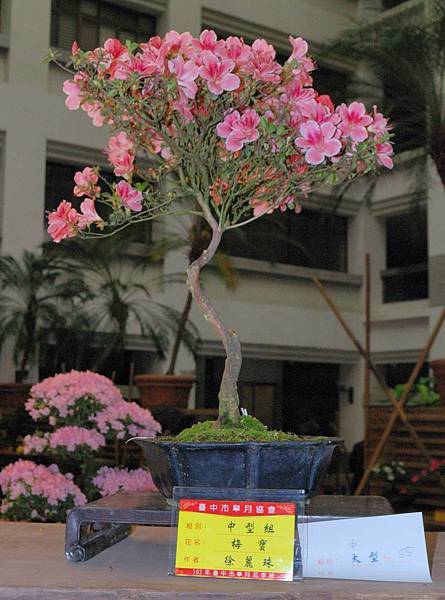 DSC_8271.jpg DSC_8271.jpg