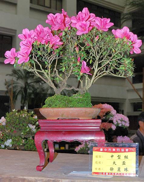 DSC_8272.jpg DSC_8272.jpg