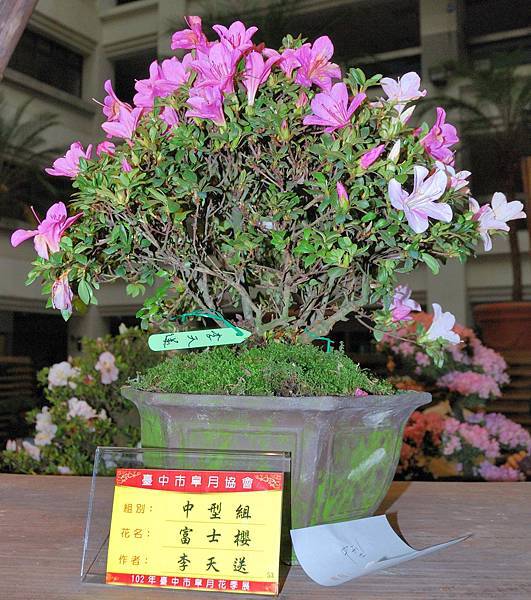 DSC_8273.jpg DSC_8273.jpg