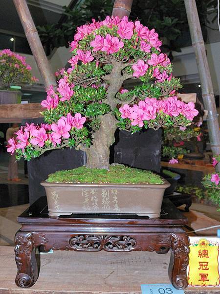 DSC_8279.jpg DSC_8279.jpg