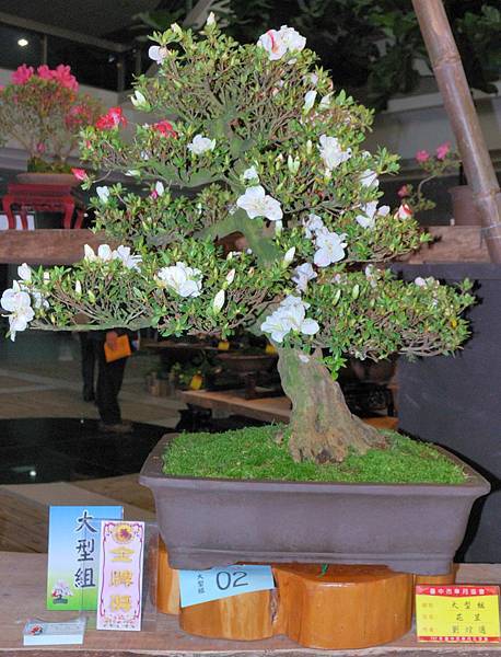 DSC_8280.jpg DSC_8280.jpg