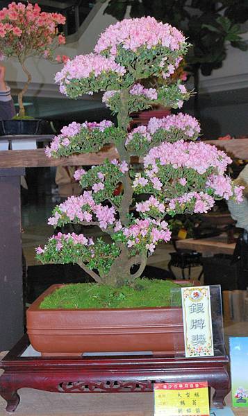 DSC_8281.jpg DSC_8281.jpg