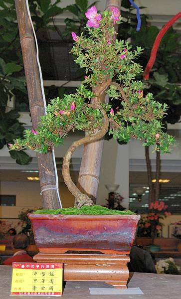 DSC_8282.jpg DSC_8282.jpg