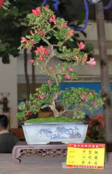 DSC_8283.jpg DSC_8283.jpg