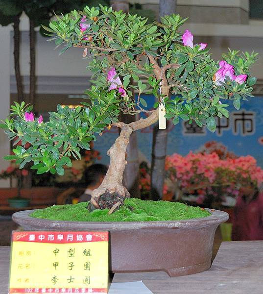 DSC_8284.jpg DSC_8284.jpg