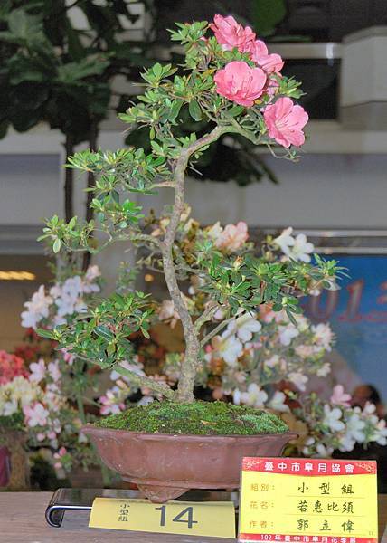 DSC_8287.jpg DSC_8287.jpg