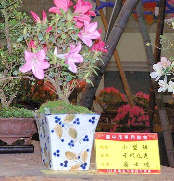 DSC_8289.jpg DSC_8289.jpg