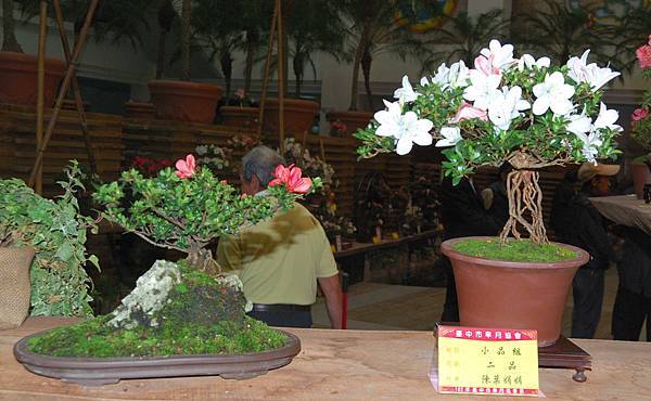 DSC_8288.jpg DSC_8288.jpg