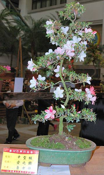 DSC_8291.jpg DSC_8291.jpg